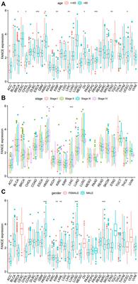Pan-cancer analysis of the prognostic and immunological role of Fanconi anemia complementation group E